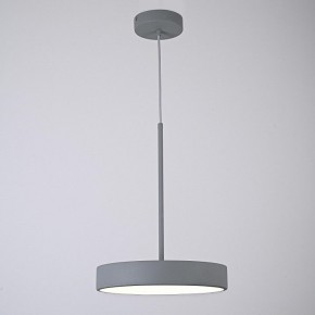 Подвесной светильник Imperiumloft TURNA Gray TURNA-ONE01 в Нягани - nyagan.ok-mebel.com | фото 5