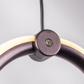 Подвесной светильник Lightstar Caramello 796229 в Нягани - nyagan.ok-mebel.com | фото 10