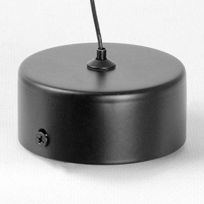 Подвесной светильник Lussole Blount LSP-7356 в Нягани - nyagan.ok-mebel.com | фото 6