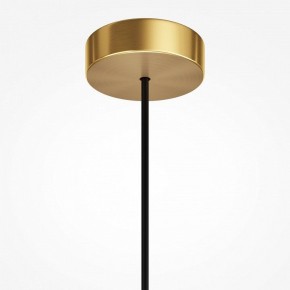 Подвесной светильник Maytoni Levitation MOD376PL-01G1 в Нягани - nyagan.ok-mebel.com | фото 7