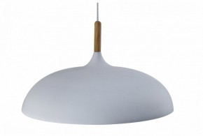 Подвесной светильник Moderli Hygo V11447-1P в Нягани - nyagan.ok-mebel.com | фото