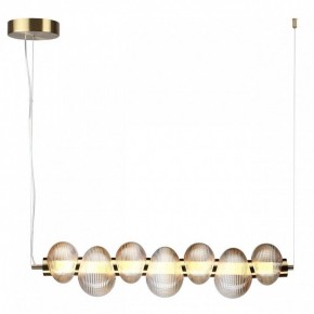 Подвесной светильник Odeon Light Bruco 5095/24L в Нягани - nyagan.ok-mebel.com | фото 2