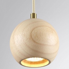 Подвесной светильник Odeon Light Caucho 7061/1 в Нягани - nyagan.ok-mebel.com | фото 2