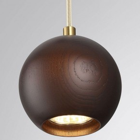 Подвесной светильник Odeon Light Caucho 7062/1 в Нягани - nyagan.ok-mebel.com | фото