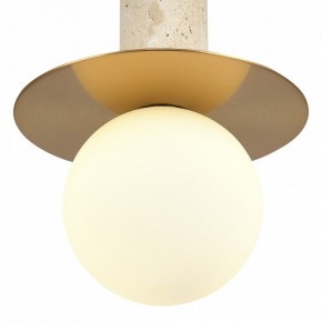 Подвесной светильник ST-Luce Earthy SL1194.303.01 в Нягани - nyagan.ok-mebel.com | фото 5