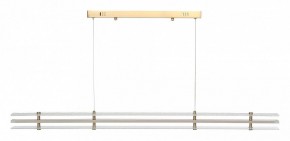 Подвесной светильник ST-Luce FAGY SL6245.223.01 в Нягани - nyagan.ok-mebel.com | фото 3