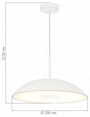Подвесной светильник ST-Luce Lido SL6128.503.01 в Нягани - nyagan.ok-mebel.com | фото 4