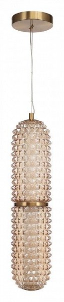 Подвесной светильник ST-Luce SAGUARO SL6144.303.01 в Нягани - nyagan.ok-mebel.com | фото 3