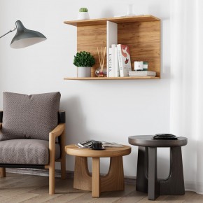 Полка Ион-3 (крафт/белый) в Нягани - nyagan.ok-mebel.com | фото 3