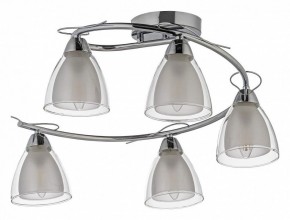 Потолочная люстра Arti Lampadari Paola, Tavenna Nickel Paola E 1.1.5 N в Нягани - nyagan.ok-mebel.com | фото