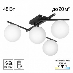 Потолочная люстра Citilux Dorsy CL223142 в Нягани - nyagan.ok-mebel.com | фото 9