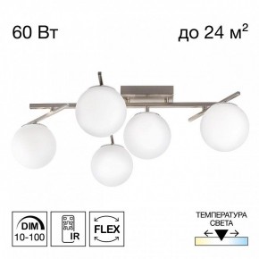 Потолочная люстра Citilux Dorsy CL223151 в Нягани - nyagan.ok-mebel.com | фото 2