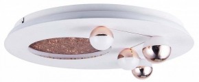 Потолочная люстра Favourite Plaides 4630-4C в Нягани - nyagan.ok-mebel.com | фото 3