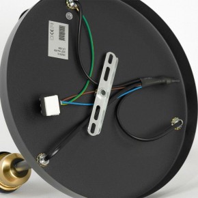 Потолочная люстра Lussole Mitchel LSP-8996 в Нягани - nyagan.ok-mebel.com | фото 5
