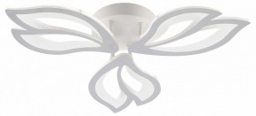 Потолочная люстра Natali Kovaltseva FORTUNA LED LAMPS 81107/2C в Нягани - nyagan.ok-mebel.com | фото