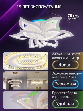Потолочная люстра Natali Kovaltseva OLIMP LED LAMPS 81435 в Нягани - nyagan.ok-mebel.com | фото 5