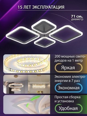 Потолочная люстра Natali Kovaltseva OPTI LED LAMPS 81108/2C в Нягани - nyagan.ok-mebel.com | фото 5
