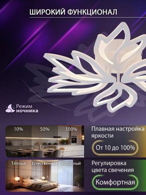 Потолочная люстра Natali Kovaltseva RIF LED LAMPS 81118/5C в Нягани - nyagan.ok-mebel.com | фото 6