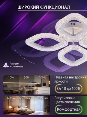 Потолочная люстра Natali Kovaltseva SM LED LAMPS 81455 в Нягани - nyagan.ok-mebel.com | фото 6