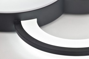 Потолочная люстра Rivoli Aliona Б0066452 в Нягани - nyagan.ok-mebel.com | фото 10