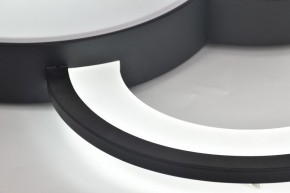 Потолочная люстра Rivoli Aliona Б0066452 в Нягани - nyagan.ok-mebel.com | фото 12