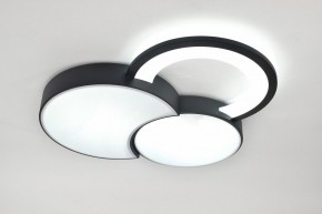 Потолочная люстра Rivoli Aliona Б0066452 в Нягани - nyagan.ok-mebel.com | фото 8