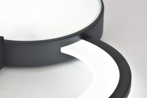 Потолочная люстра Rivoli Aliona Б0066452 в Нягани - nyagan.ok-mebel.com | фото 9