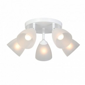 Потолочная люстра Vitaluce V4355 V4355-0/5PL в Нягани - nyagan.ok-mebel.com | фото 2