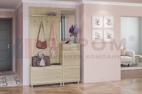 Прихожая Мелисса композиция 8 (Ясень Асахи) в Нягани - nyagan.ok-mebel.com | фото