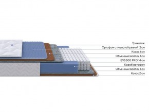 PROxSON Матрас Active Duo M/F (Ткань Трикотаж Эко) 90x195 в Нягани - nyagan.ok-mebel.com | фото 2