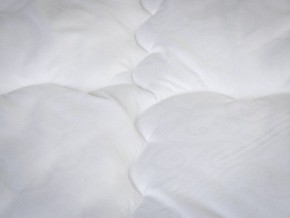 PROxSON Одеяло классическое PROSON (Стеганное полотно) 172x200 в Нягани - nyagan.ok-mebel.com | фото 4