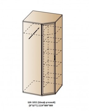 ШК-1011 (Шкаф угловой) в Нягани - nyagan.ok-mebel.com | фото