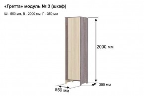 ГРЕТТА 3 Шкаф 2-х створчатый в Нягани - nyagan.ok-mebel.com | фото 4