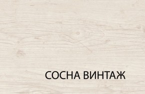 Шкаф 2DG2S, MAGELLAN, цвет Сосна винтаж в Нягани - nyagan.ok-mebel.com | фото 5