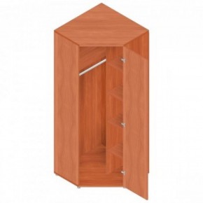 Шкаф для одежды "Референт" Р.Ш-10 в Нягани - nyagan.ok-mebel.com | фото