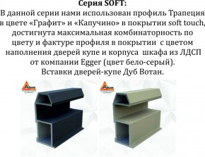 Шкаф-купе 1600 серии SOFT D6+D6+B2+PL3 (2 ящика+2штанги) профиль «Капучино» в Нягани - nyagan.ok-mebel.com | фото 12