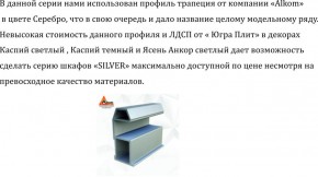 Шкаф-купе 2250 серии SILVER S3+S1+S3Z B22+PL2 (по 2 ящика лев/прав+1штанга+1 полка) профиль «Серебро» в Нягани - nyagan.ok-mebel.com | фото 4