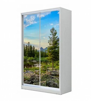 Шкаф-купе ХИТ 22-4-17-77 (420) в Нягани - nyagan.ok-mebel.com | фото 2