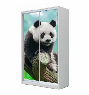 Шкаф-купе ХИТ 22-4-17-77 (420) в Нягани - nyagan.ok-mebel.com | фото 5