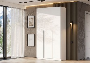 Шкаф платяной Даиго в Нягани - nyagan.ok-mebel.com | фото 3