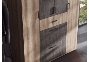 Шкаф платяной Паркинс в Нягани - nyagan.ok-mebel.com | фото 3