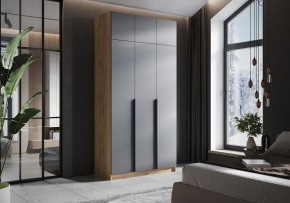 Шкаф платяной Широн в Нягани - nyagan.ok-mebel.com | фото 4