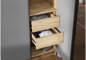 Шкаф платяной Широн в Нягани - nyagan.ok-mebel.com | фото 3