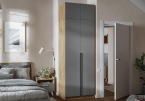 Шкаф платяной Широн в Нягани - nyagan.ok-mebel.com | фото 4