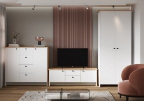 Шкаф платяной Теодора в Нягани - nyagan.ok-mebel.com | фото 4