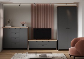 Шкаф платяной Теодора в Нягани - nyagan.ok-mebel.com | фото 3