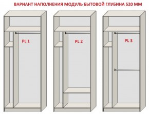 Шкаф распашной серия «ЗЕВС» (PL3/С1/PL2) Серый камень/Небраска натуральный в Нягани - nyagan.ok-mebel.com | фото 5