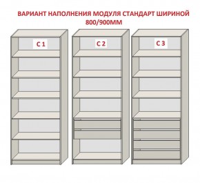 Шкаф распашной серия «ЗЕВС» (PL3/С1/PL2) Серый камень/Небраска натуральный в Нягани - nyagan.ok-mebel.com | фото 6