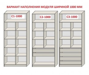 Шкаф распашной серия «ЗЕВС» (PL3/С1/PL2) Серый камень/Небраска натуральный в Нягани - nyagan.ok-mebel.com | фото 7