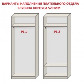 Шкаф распашной серия «ЗЕВС» (PL3/С1/PL2) Серый камень/Небраска натуральный в Нягани - nyagan.ok-mebel.com | фото 9